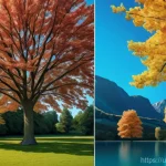 건축기사와 시공사와의 협력 사례 - Here are three detailed image prompts in English: